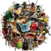 Sticker-Set - 50 Transparente Insekten