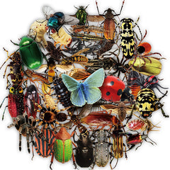 Sticker-Set - 50 Transparente Insekten