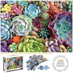 1000 Teile Puzzle - Sukkulenten