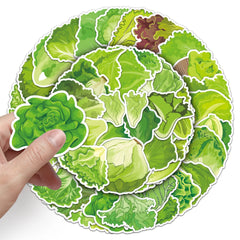 Sticker‑Set - Grüner Salat Gemüse‑Sticker (10‑50 Stk.)