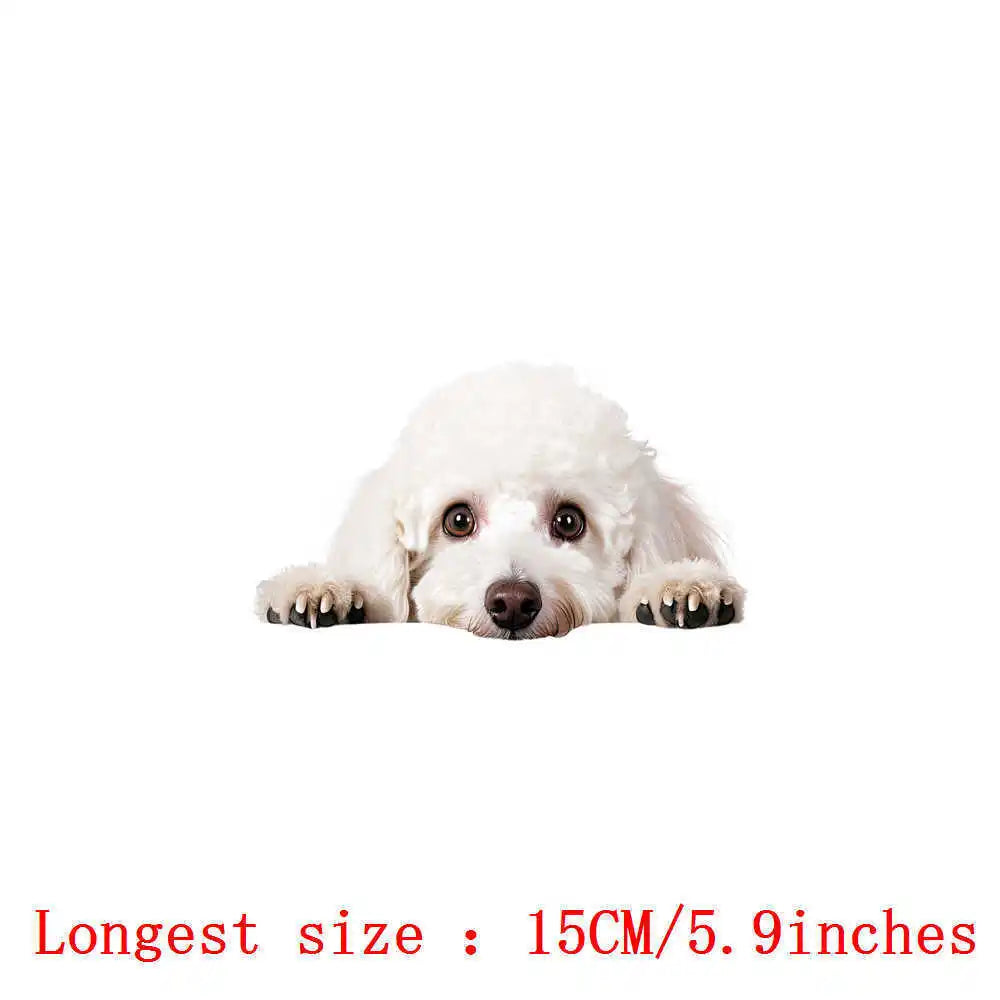 Bügelaufkleber - 15cm Versteckspiel Hund