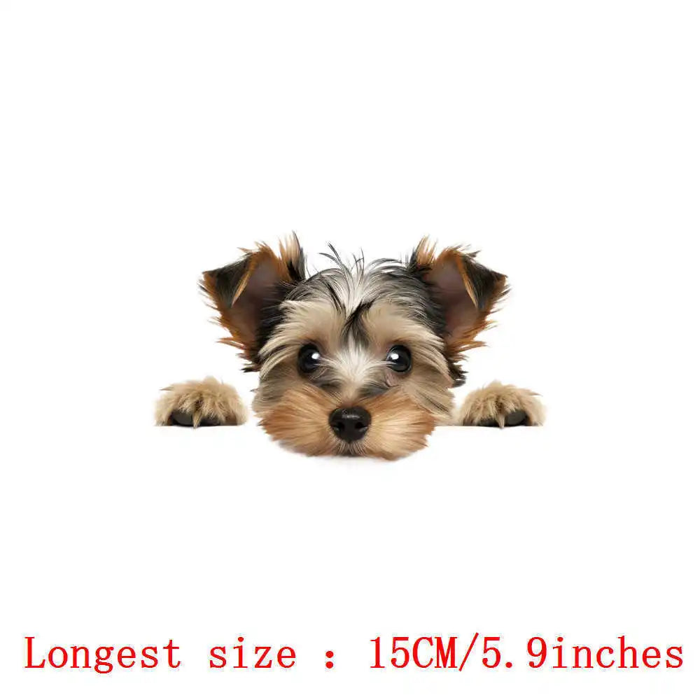 Bügelaufkleber - 15cm Versteckspiel Hund