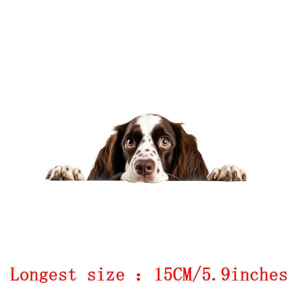 Bügelaufkleber - 15cm Versteckspiel Hund