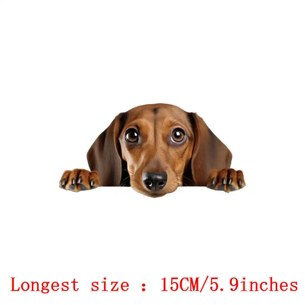 Bügelaufkleber - 15cm Versteckspiel Hund