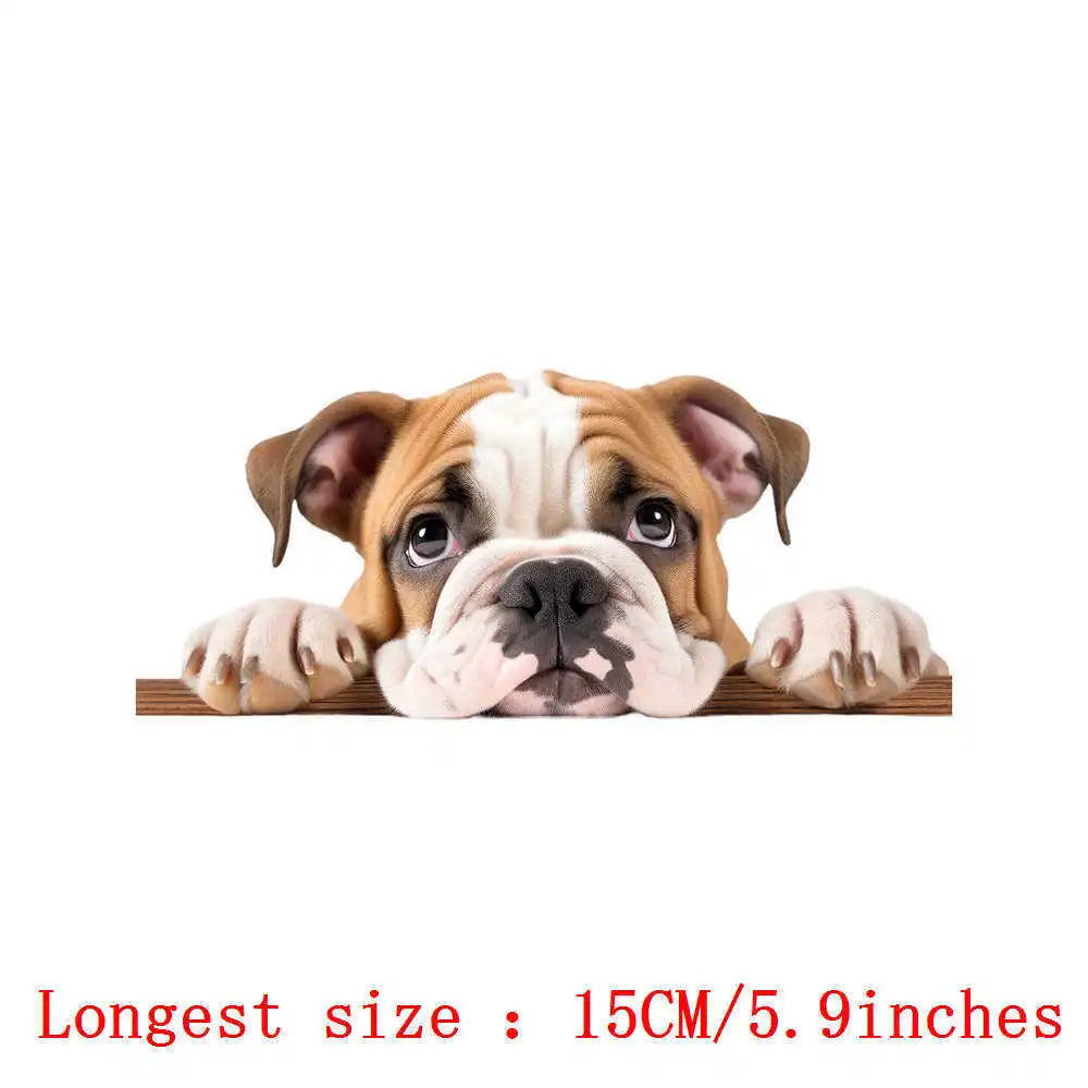 Bügelaufkleber - 15cm Versteckspiel Hund