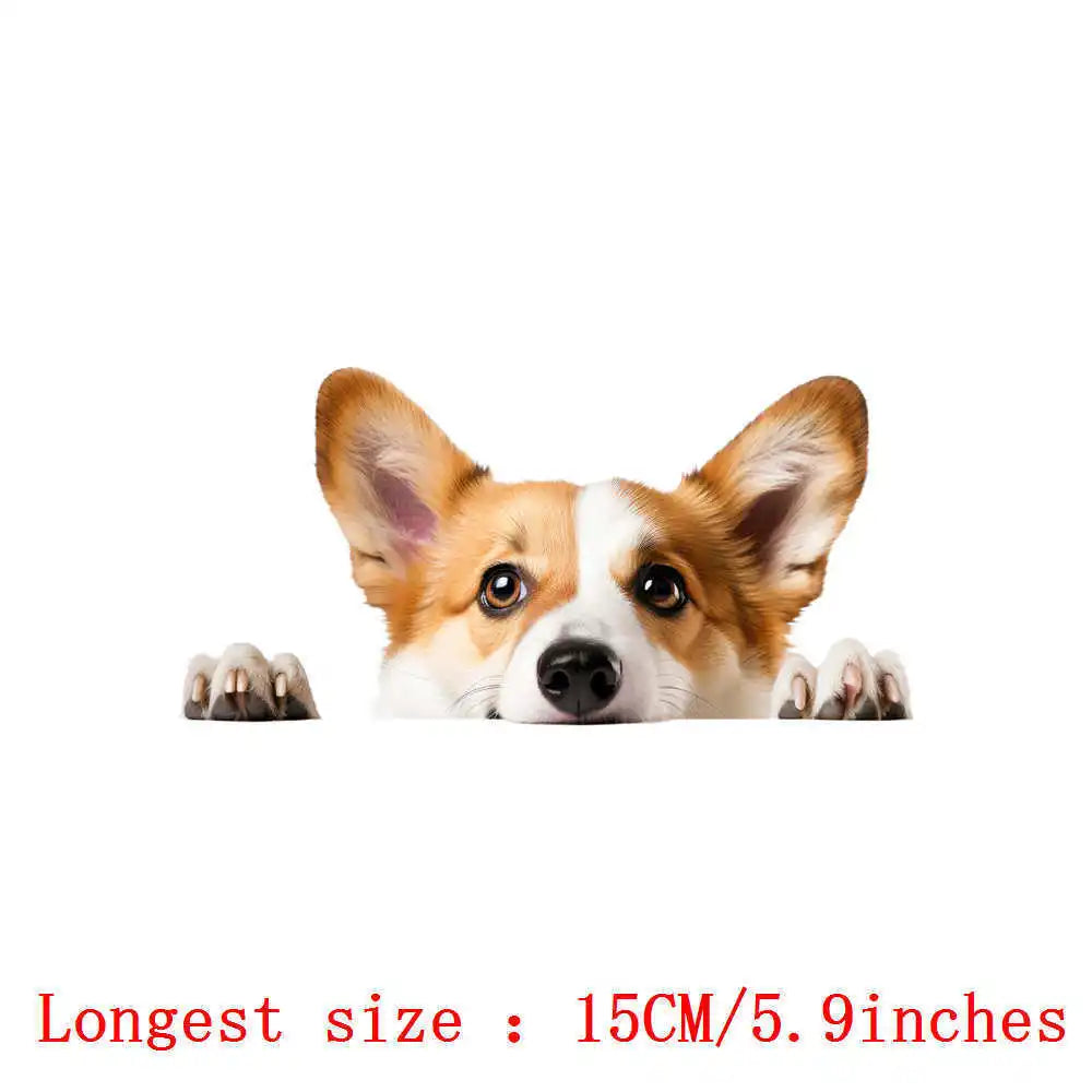 Bügelaufkleber - 15cm Versteckspiel Hund