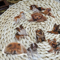 Sticker-Set - 50 Hunde für Kinder