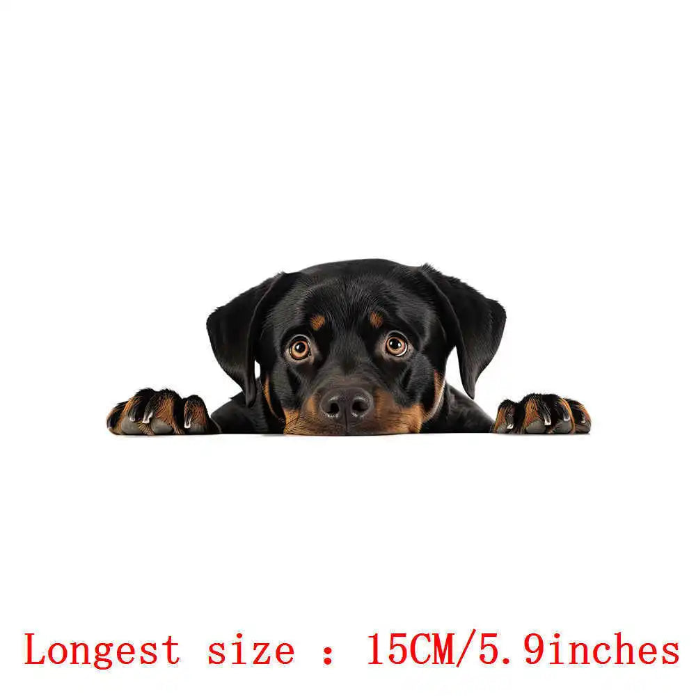 Bügelaufkleber - 15cm Versteckspiel Hund