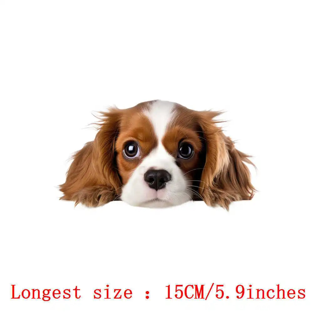 Bügelaufkleber - 15cm Versteckspiel Hund
