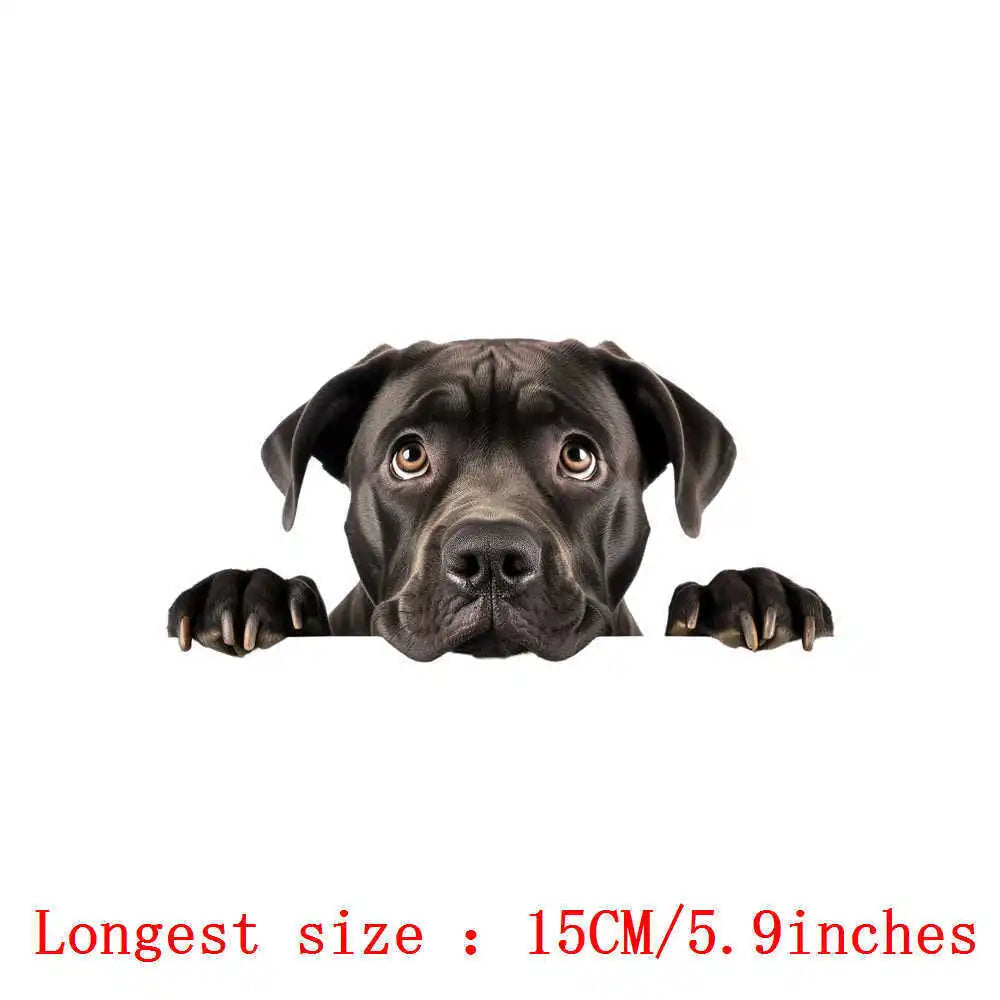 Bügelaufkleber - 15cm Versteckspiel Hund