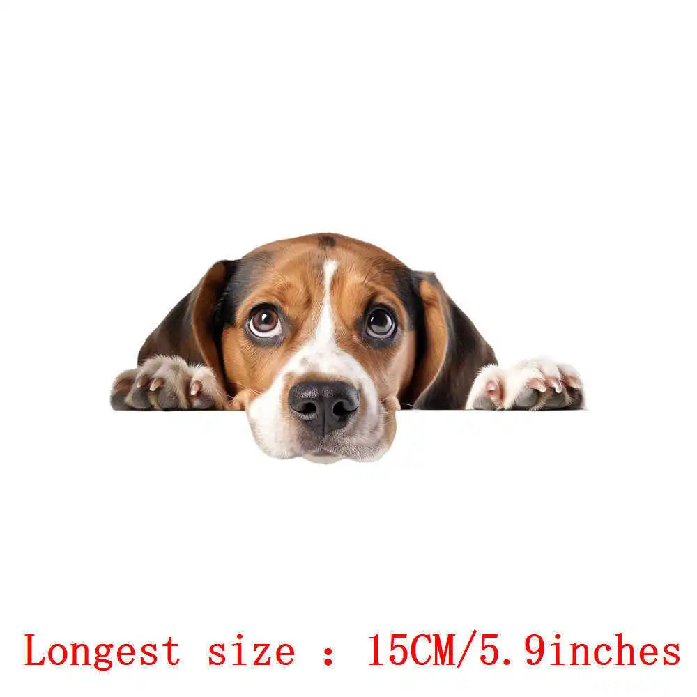 Bügelaufkleber - 15cm Versteckspiel Hund