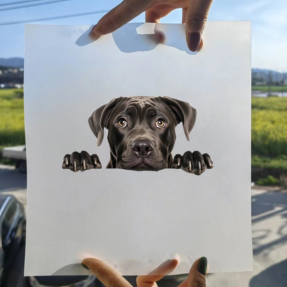 Bügelaufkleber - 15cm Versteckspiel Hund