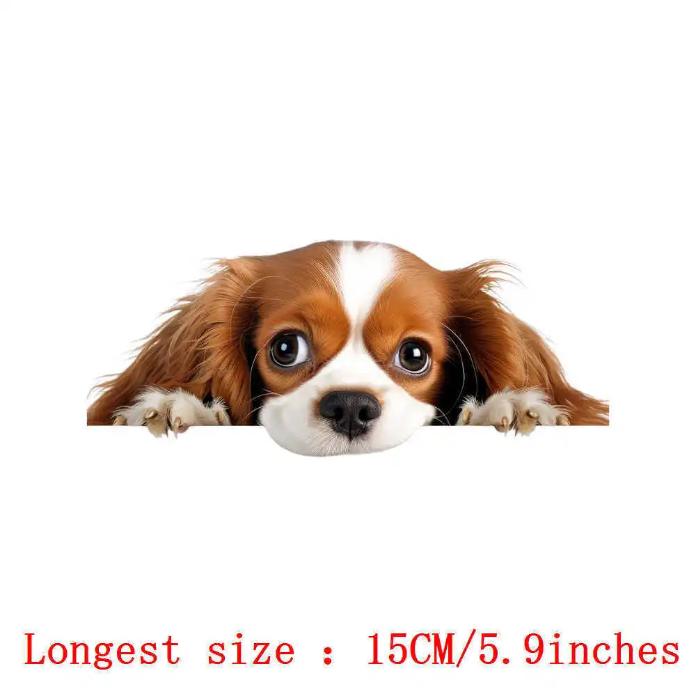 Bügelaufkleber - 15cm Versteckspiel Hund