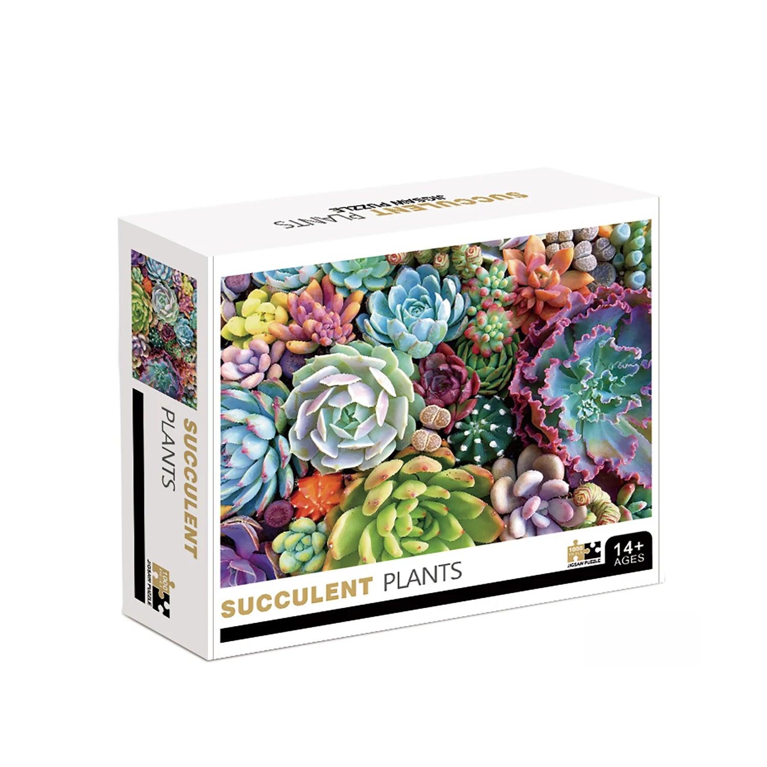 1000 Teile Puzzle - Sukkulenten