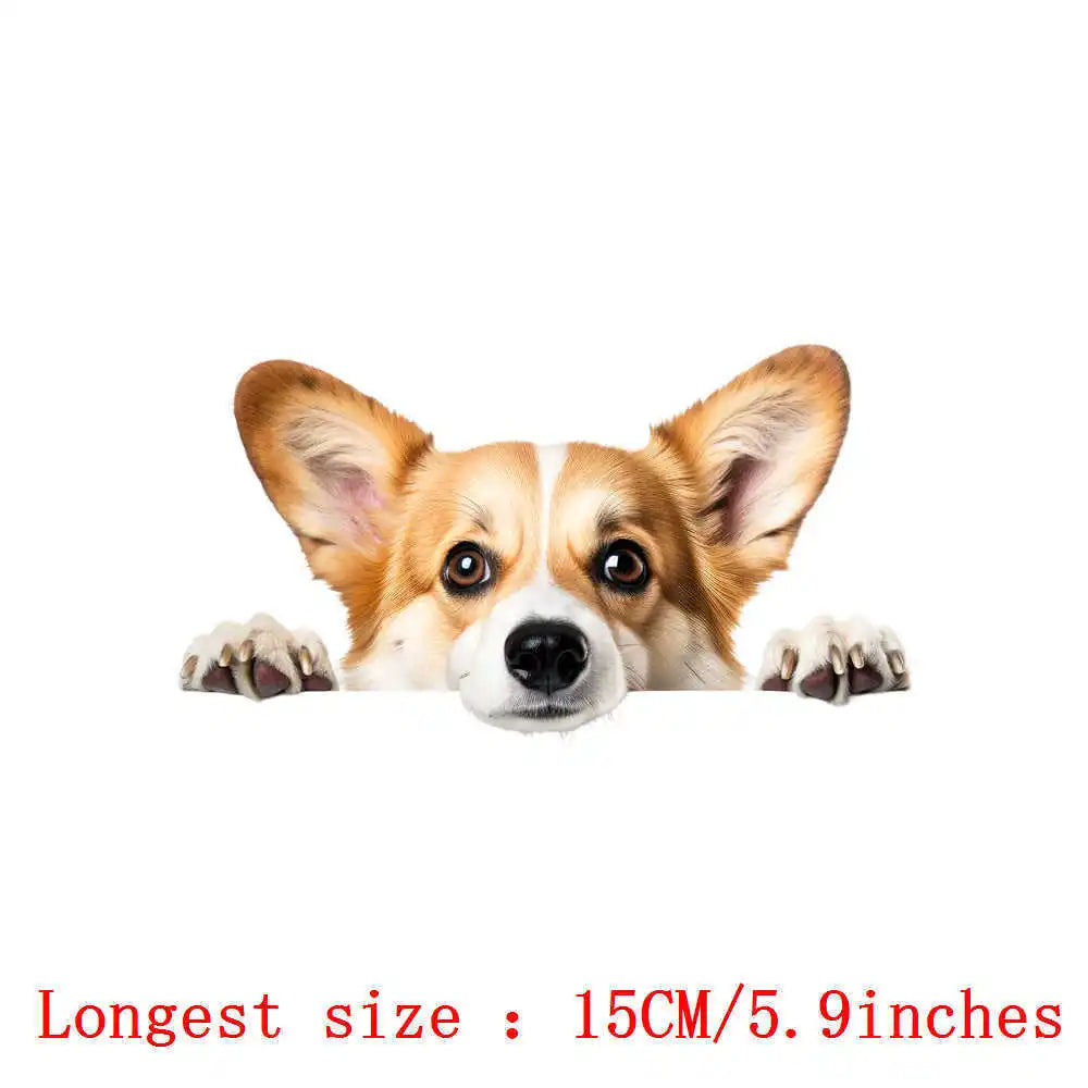 Bügelaufkleber - 15cm Versteckspiel Hund