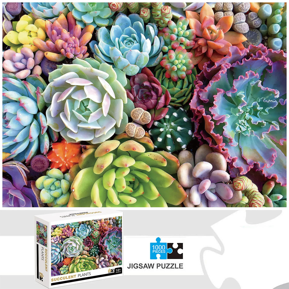 1000 Teile Puzzle - Gemütliches Zuhause
