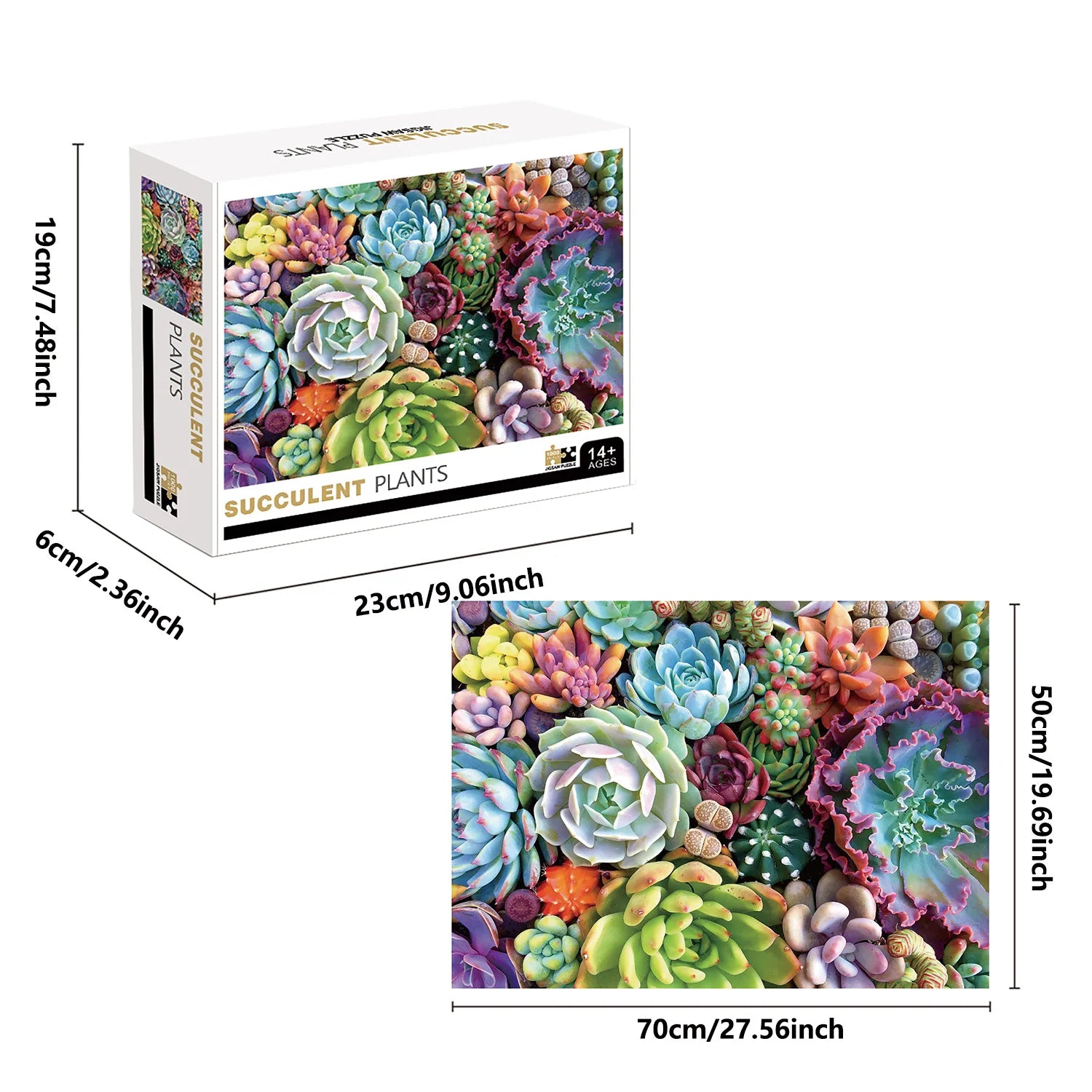 1000 Teile Puzzle - Sukkulenten