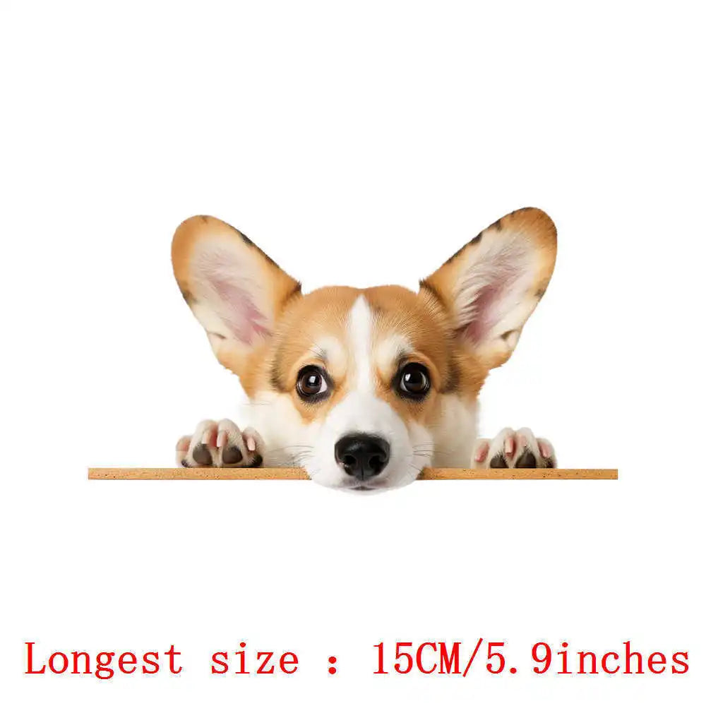 Bügelaufkleber - 15cm Versteckspiel Hund