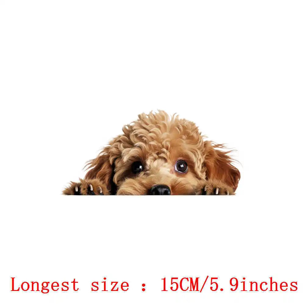 Bügelaufkleber - 15cm Versteckspiel Hund