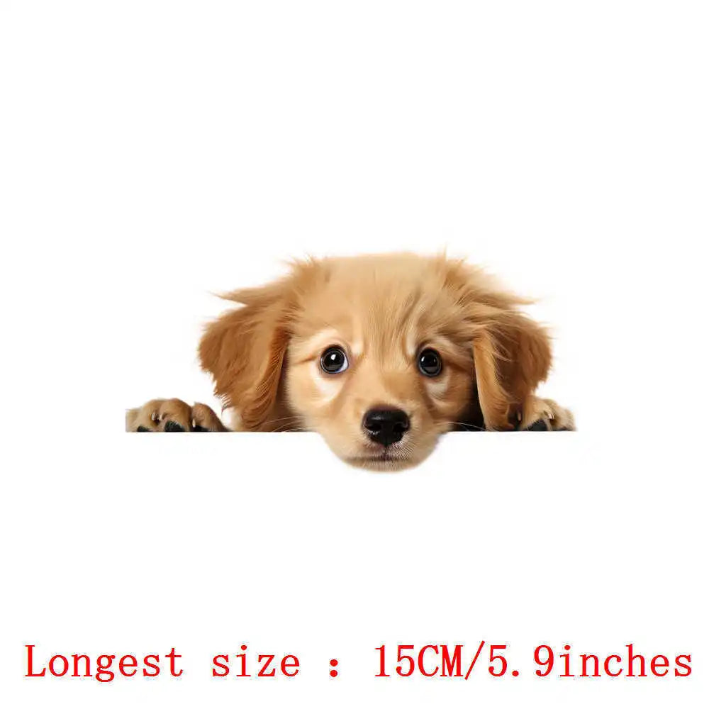 Bügelaufkleber - 15cm Versteckspiel Hund