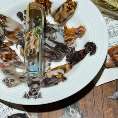 Sticker-Set - 50 Hunde für Kinder