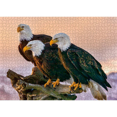 1000 Teile Puzzle - Drei Geier