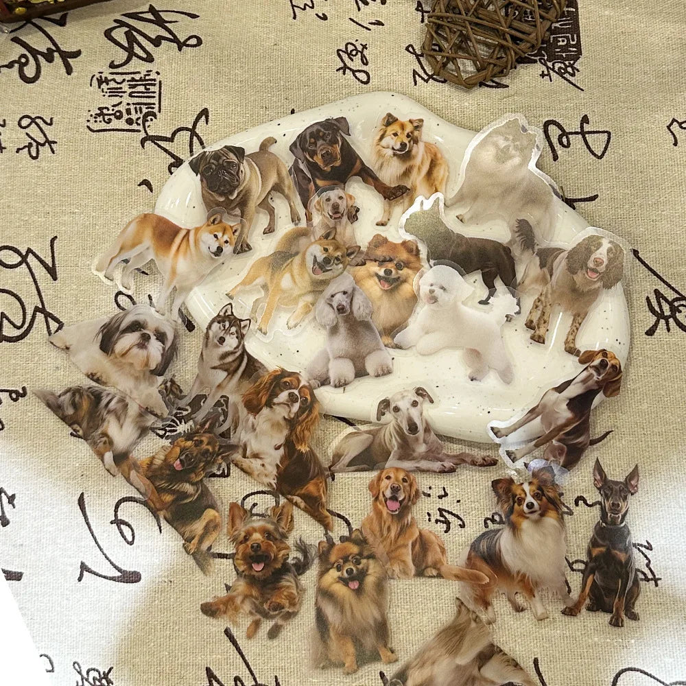 Sticker-Set - 50 Hunde für Kinder