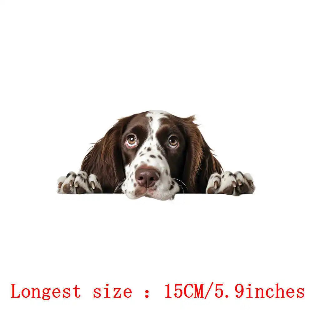 Bügelaufkleber - 15cm Versteckspiel Hund