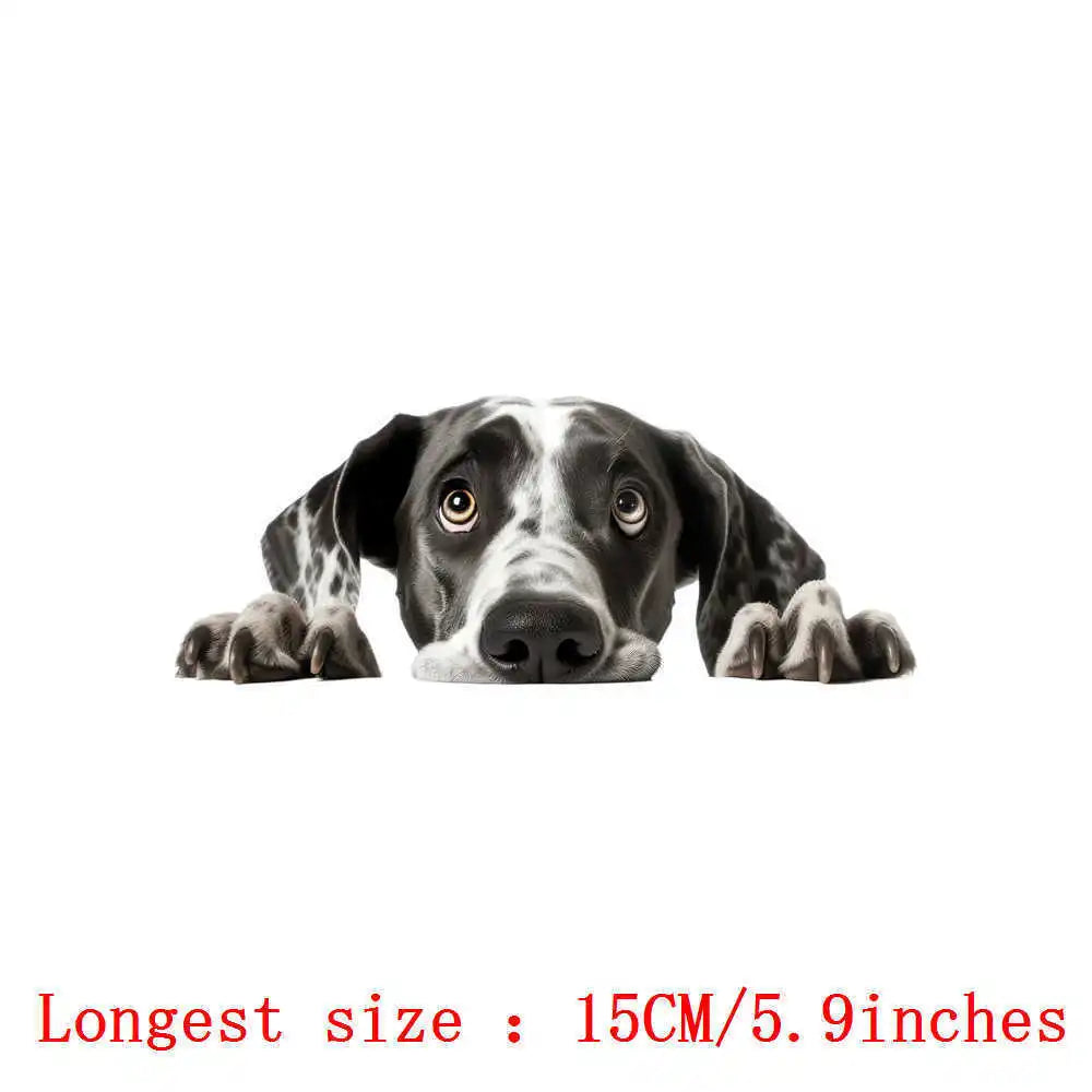Bügelaufkleber - 15cm Versteckspiel Hund