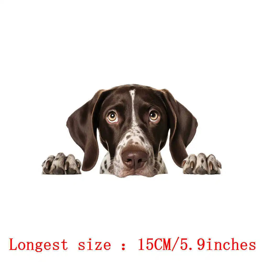 Bügelaufkleber - 15cm Versteckspiel Hund