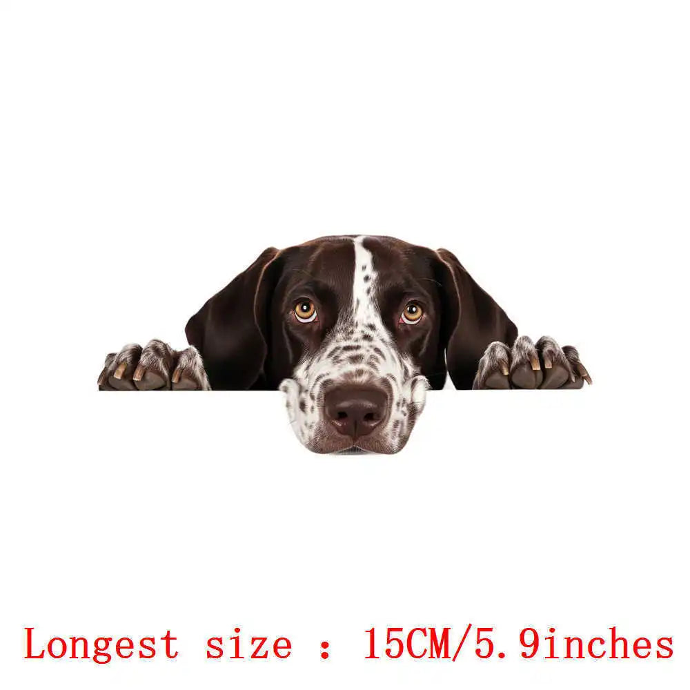 Bügelaufkleber - 15cm Versteckspiel Hund