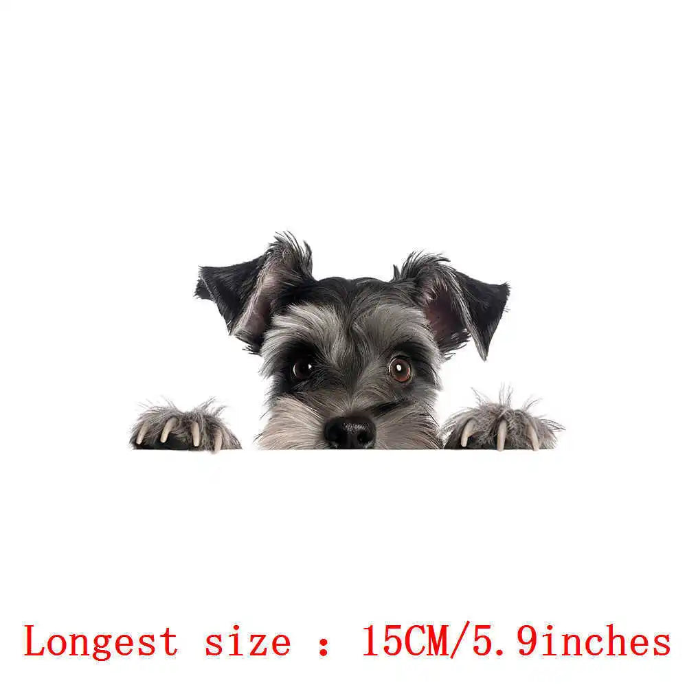 Bügelaufkleber - 15cm Versteckspiel Hund