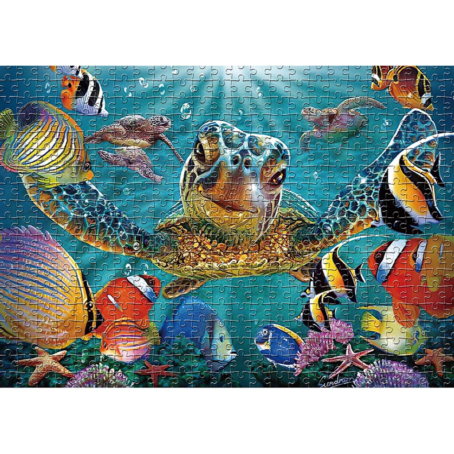1000 Teile Puzzle - Nach langer Zeit