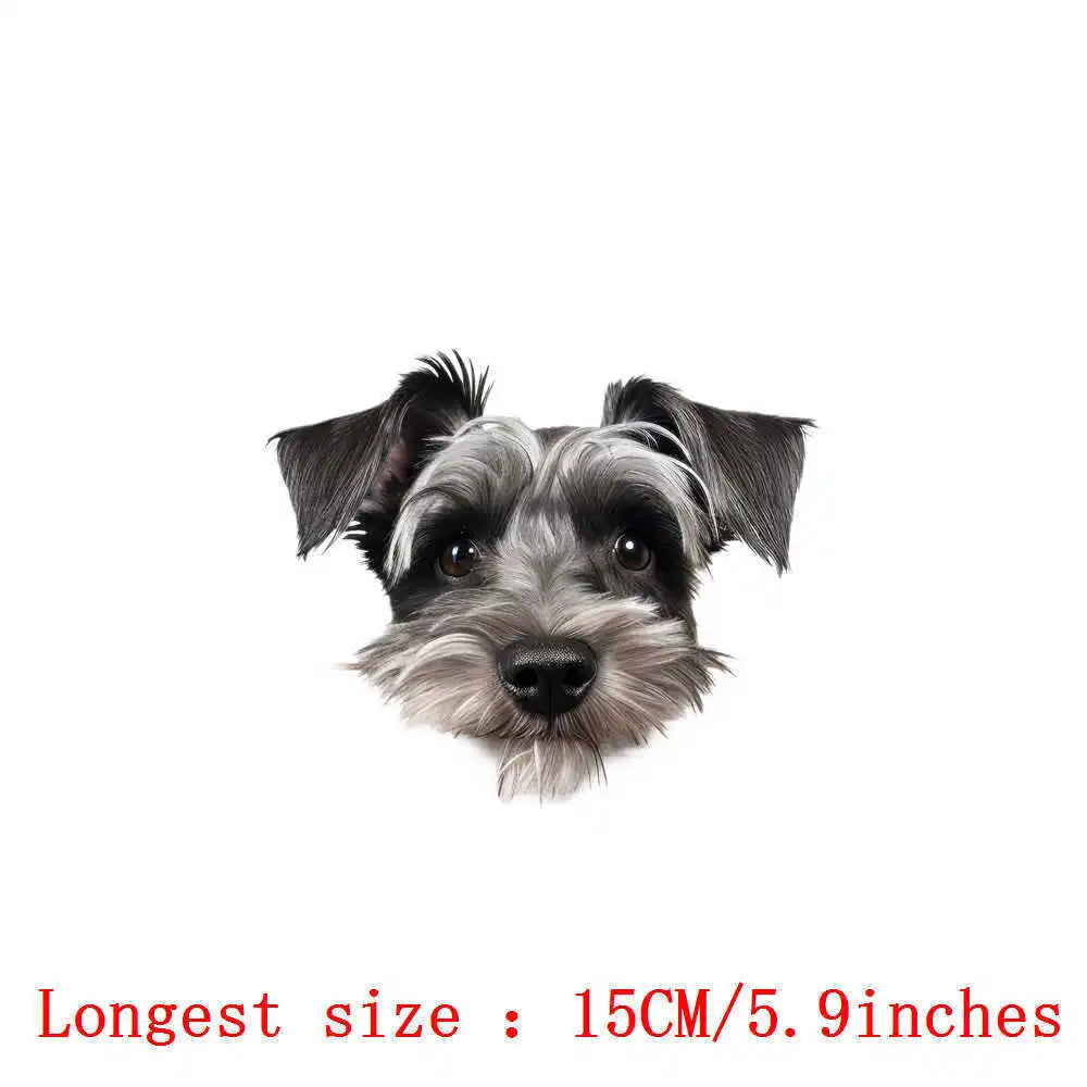 Bügelaufkleber - 15cm Versteckspiel Hund
