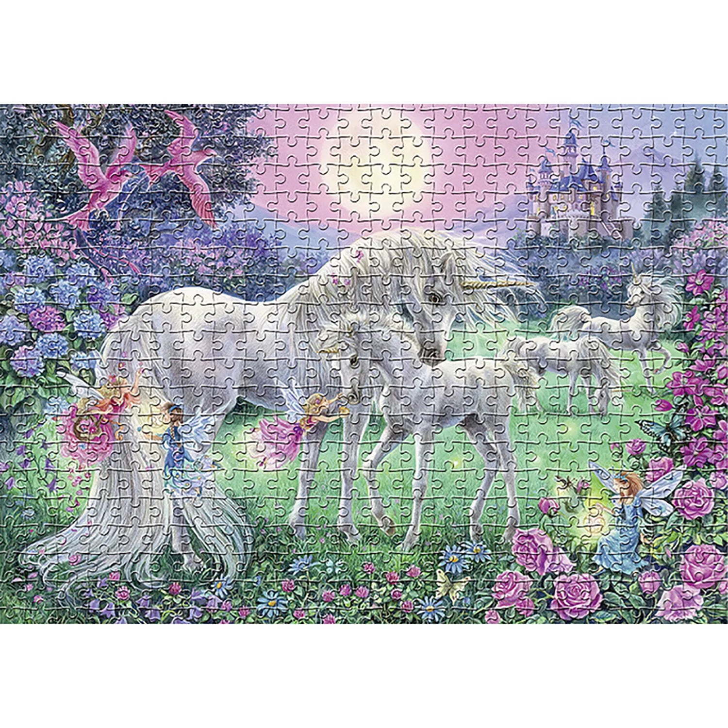 1000 Teile Puzzle - Muscheln