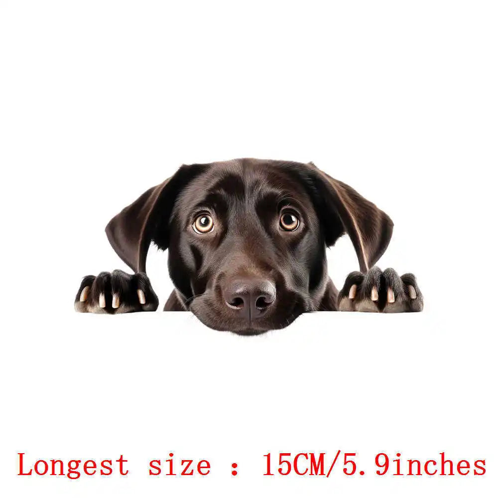 Bügelaufkleber - 15cm Versteckspiel Hund