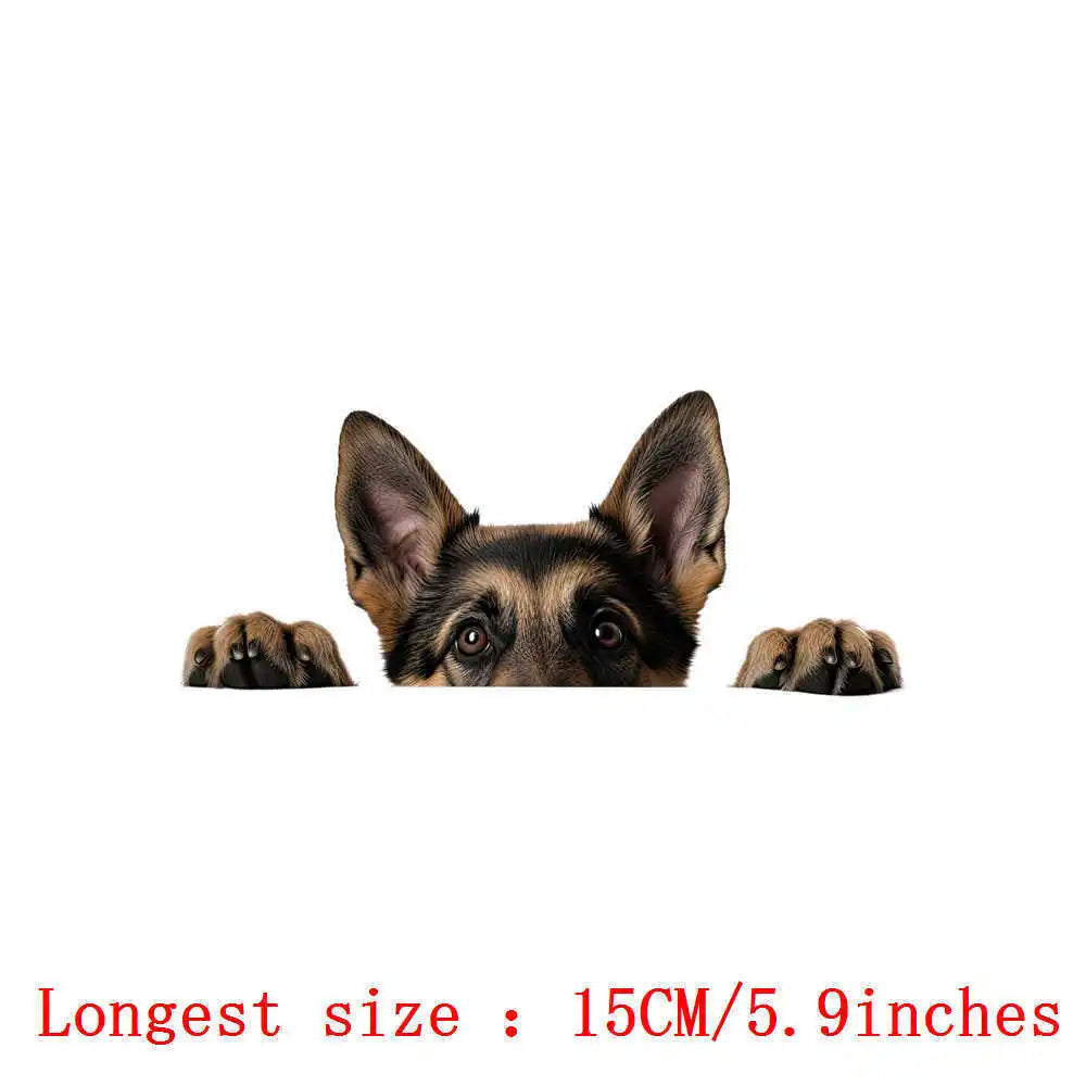 Bügelaufkleber - 15cm Versteckspiel Hund