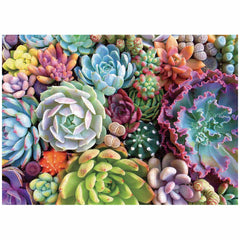 1000 Teile Puzzle - Sukkulenten