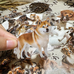 Sticker-Set - 50 Hunde für Kinder