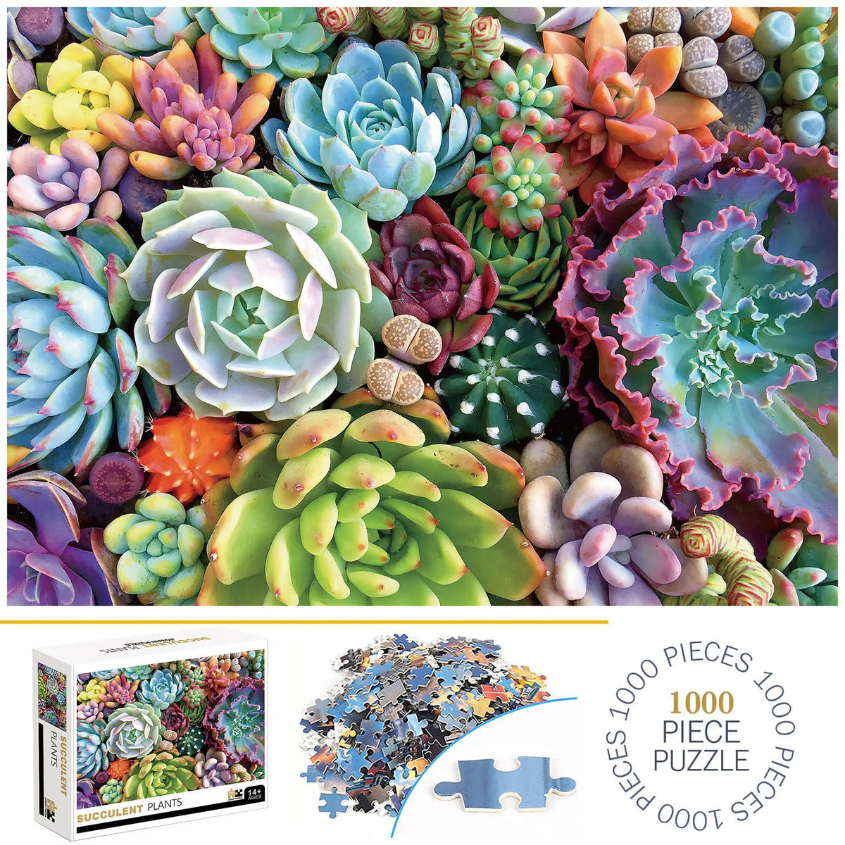 1000 Teile Puzzle - Sukkulenten