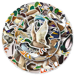 Sticker-Set - Enten (10/30/50 Stück)