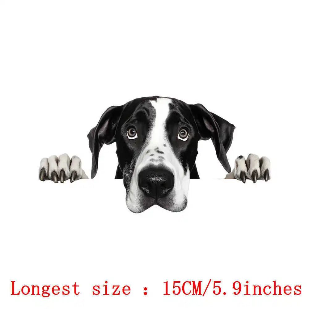Bügelaufkleber - 15cm Versteckspiel Hund