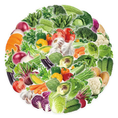 Sticker‑Set - Vegetarische Gemüse‑Sticker (10‑50 Stk.)
