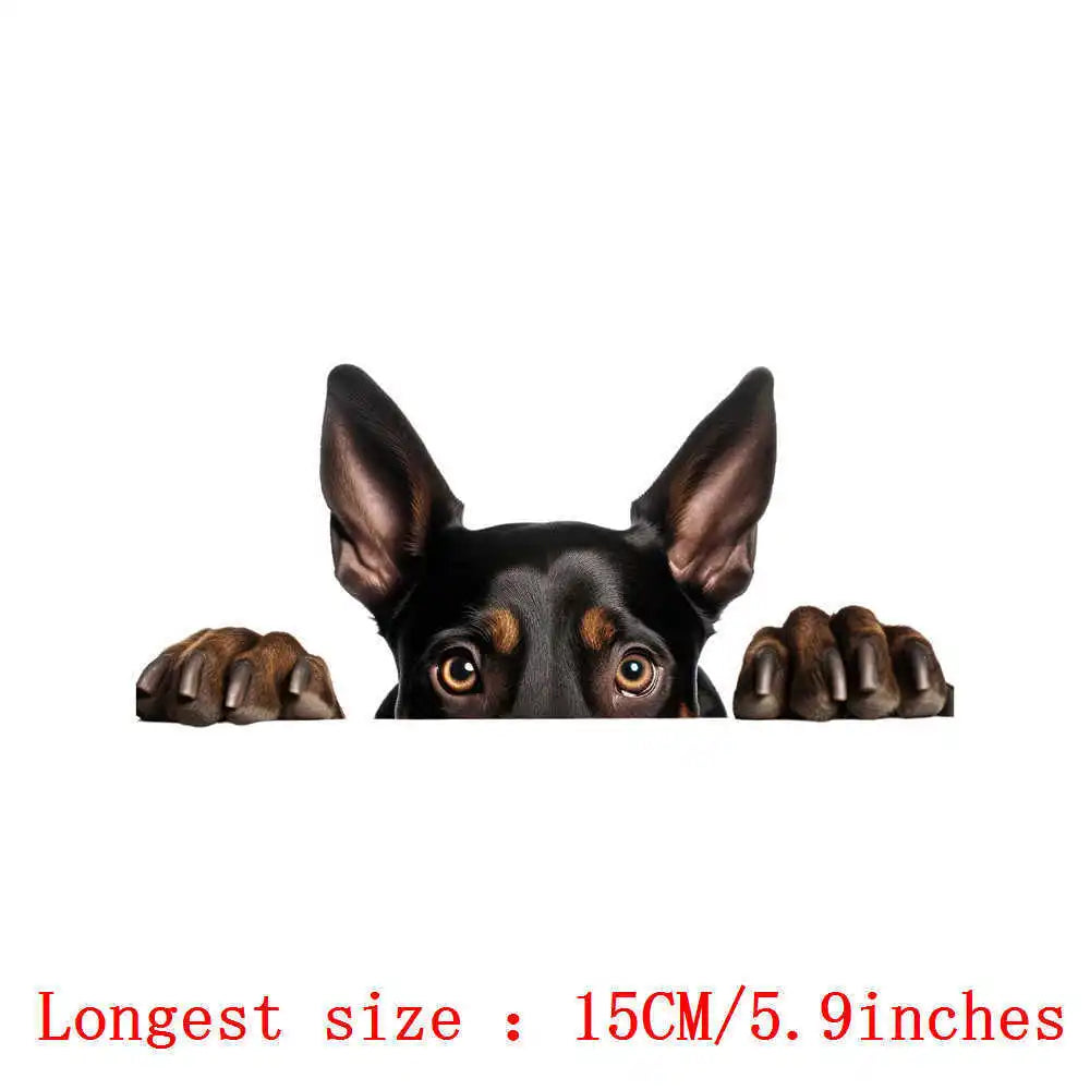 Bügelaufkleber - 15cm Versteckspiel Hund