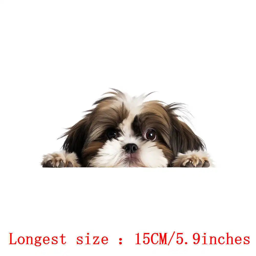 Bügelaufkleber - 15cm Versteckspiel Hund