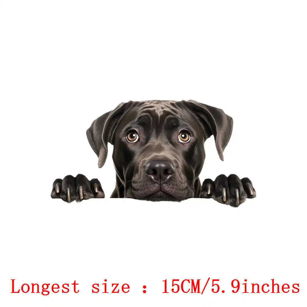 Bügelaufkleber - 15cm Versteckspiel Hund